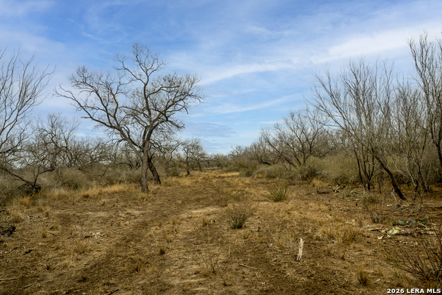Listing photo id 11 for 2410 San Miguel Tract #1