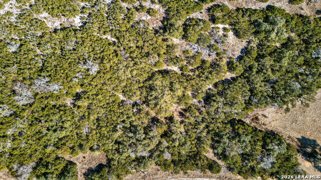 Image 15 of 21 For 614 Stars And Stripes