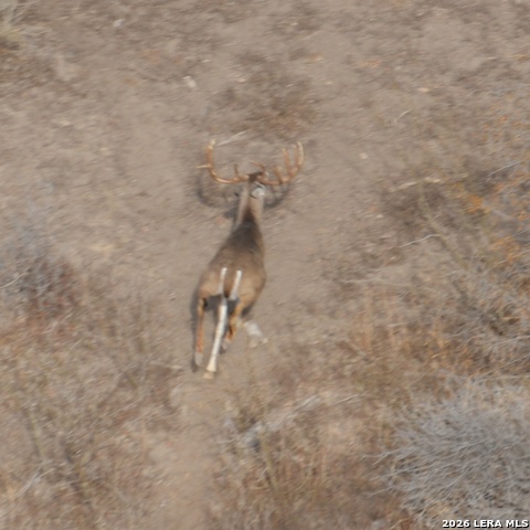 Image 24 of 28 For 00 Fm 140  