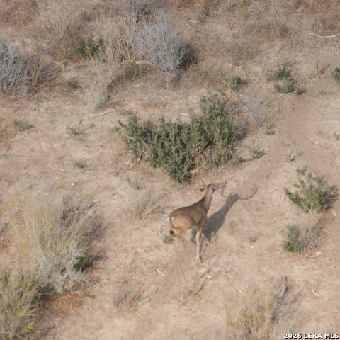 Image 25 of 28 For 00 Fm 140  