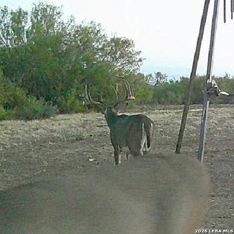 Image 26 of 28 For 00 Fm 140  