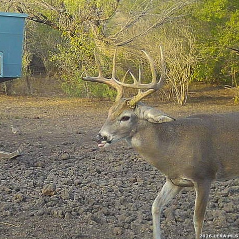 Image 27 of 28 For 00 Fm 140  