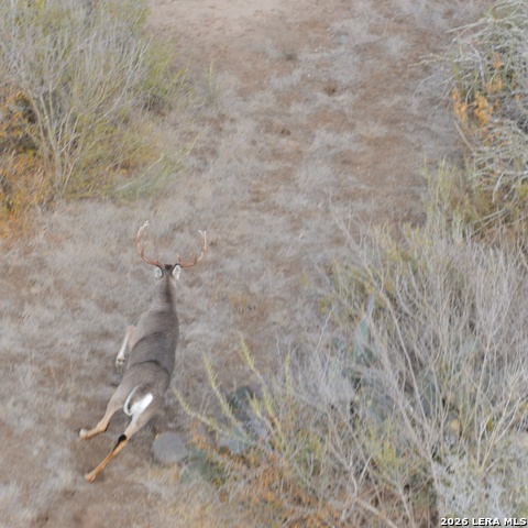 Image 28 of 28 For 00 Fm 140  