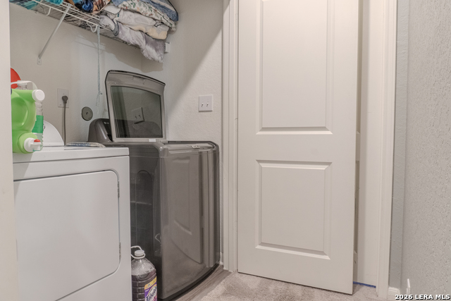 Image 19 of 32 For 5303 Flying Hooves