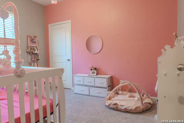 Image 20 of 32 For 5303 Flying Hooves