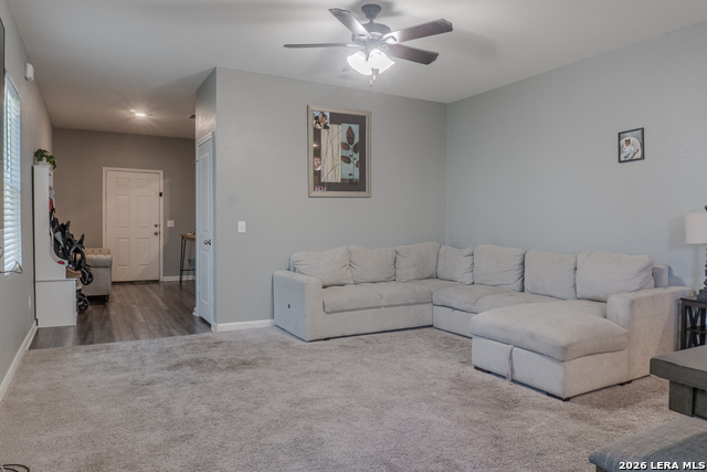 Image 9 of 32 For 5303 Flying Hooves