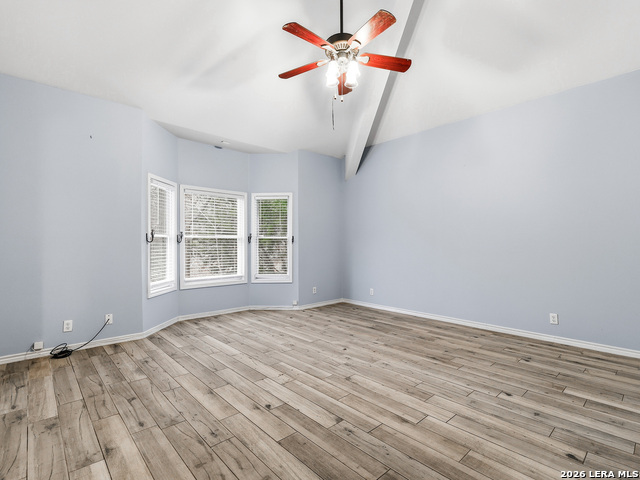 Image 24 of 39 For 8435 Timber Belt