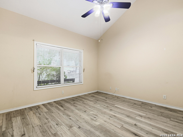 Image 29 of 39 For 8435 Timber Belt