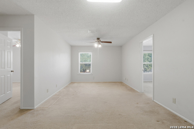 Image 19 of 38 For 15715 Wood Sorrel