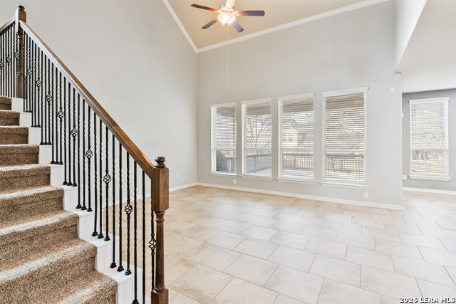 Image 11 of 25 For 807 Gold Beauty