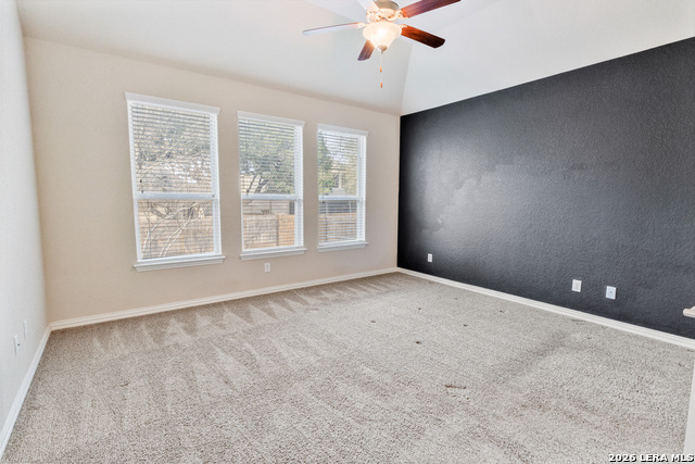 Image 12 of 25 For 807 Gold Beauty