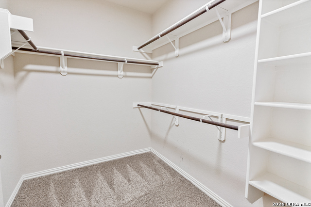 Image 14 of 25 For 807 Gold Beauty