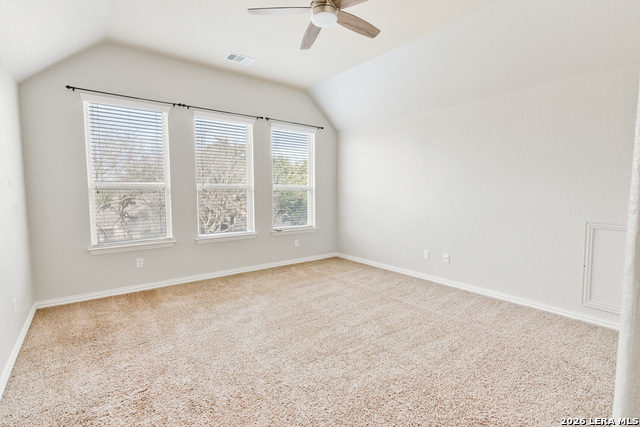 Image 20 of 25 For 807 Gold Beauty