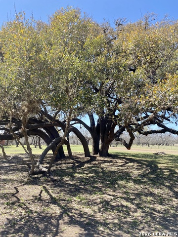 Image 3 of 40 For 3311 Texas Highway 55 N