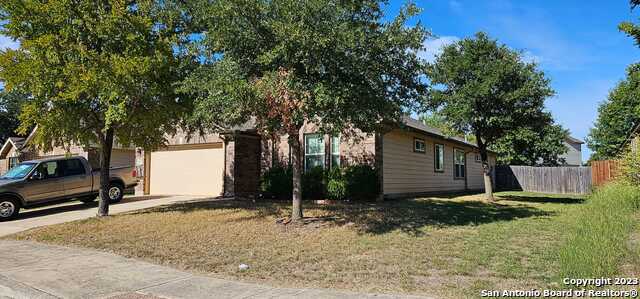 Image 2 of 11 For 8307 White Mulberry
