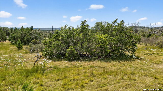 Image 22 of 31 For 14 Joshua Ranch