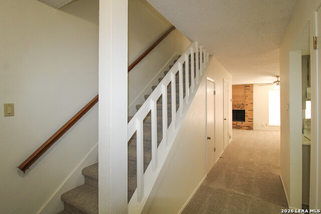 Image 3 of 33 For 1327 Julienne