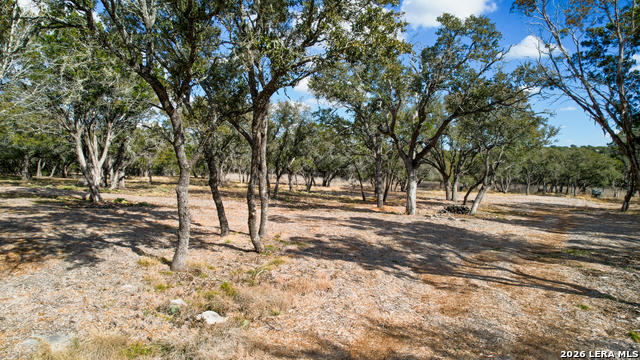 Listing photo id 38 for 196 B Rock Bottom Rd