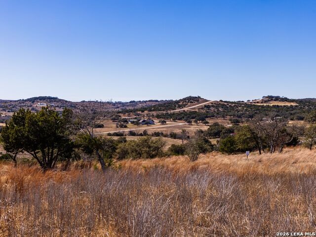 Details for 717 Scenic Hills Court N, Blanco, TX 78606