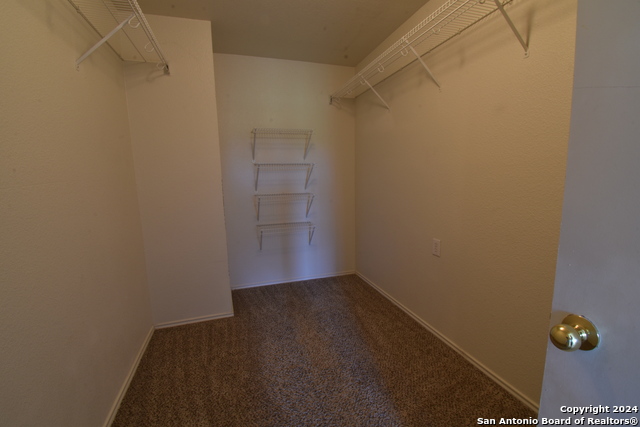 Image 11 of 25 For 25907 Torch Lily