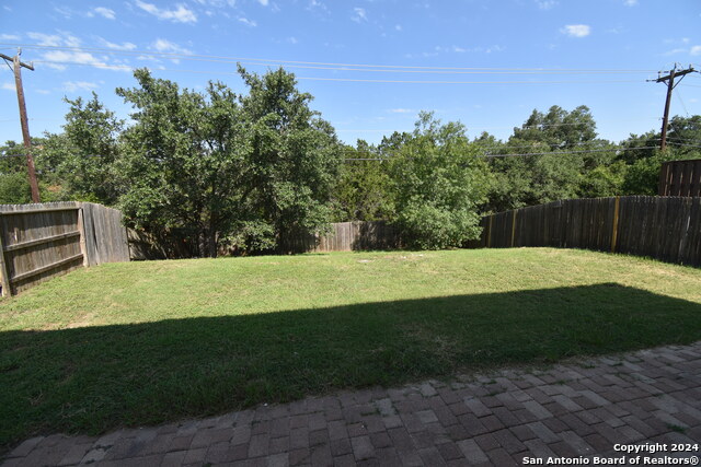 Image 14 of 25 For 25907 Torch Lily