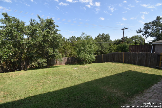 Image 15 of 25 For 25907 Torch Lily