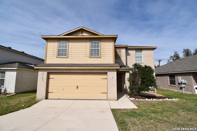 Image 17 of 25 For 25907 Torch Lily