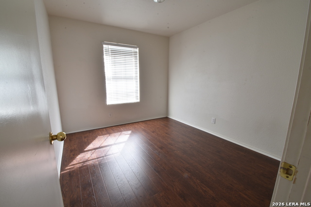 Image 22 of 25 For 25907 Torch Lily