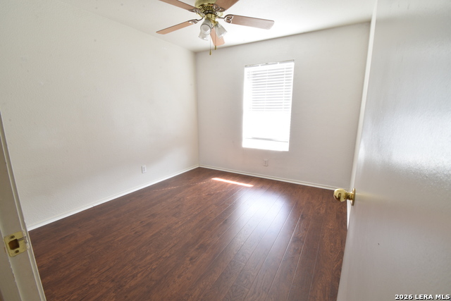 Image 23 of 25 For 25907 Torch Lily