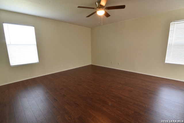 Image 24 of 25 For 25907 Torch Lily