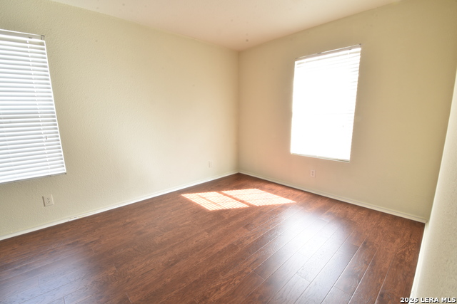 Image 25 of 25 For 25907 Torch Lily