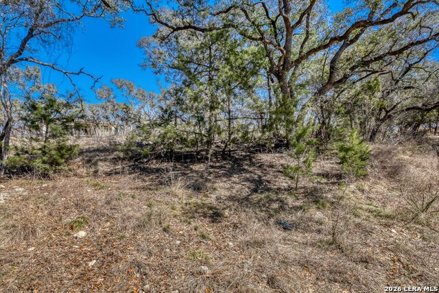 Image 2 of 17 For 6914 Bluff Run