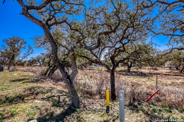 Image 2 of 17 For 6922 Bluff Run