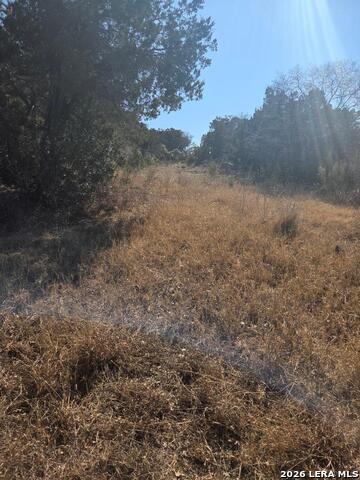 Image 8 of 11 For 2235 Park Road 37