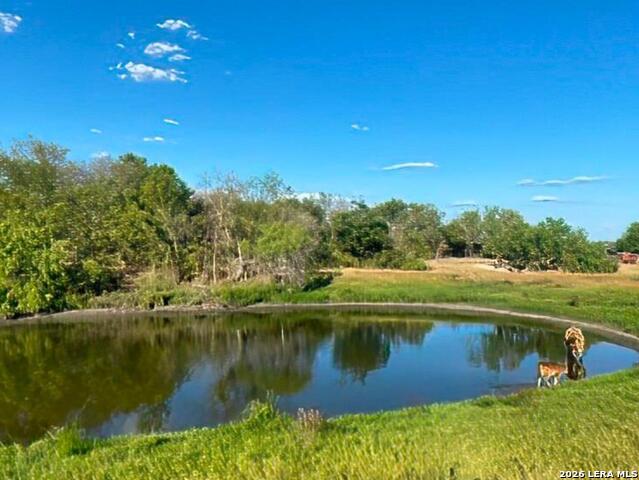 Image 4 of 59 For 6197 Pfeil Rd