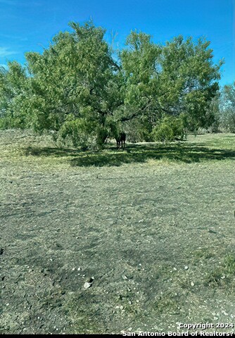 Image 40 of 59 For 6197 Pfeil Rd