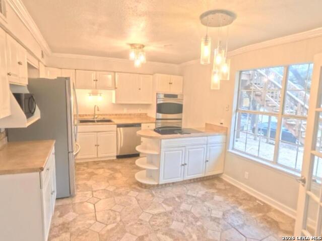 Image 12 of 66 For 31567 Panther