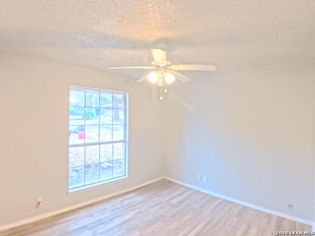 Image 25 of 66 For 31567 Panther