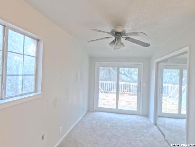 Image 32 of 66 For 31567 Panther