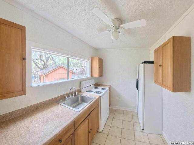 Image 50 of 66 For 31567 Panther