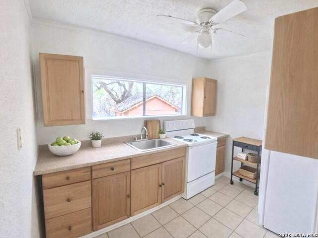 Image 51 of 66 For 31567 Panther