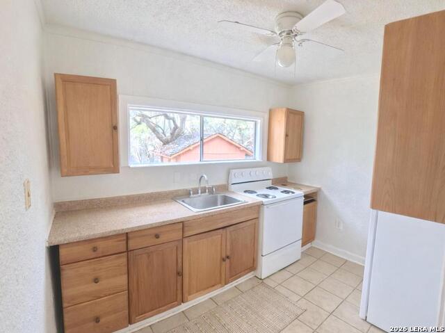 Image 52 of 66 For 31567 Panther