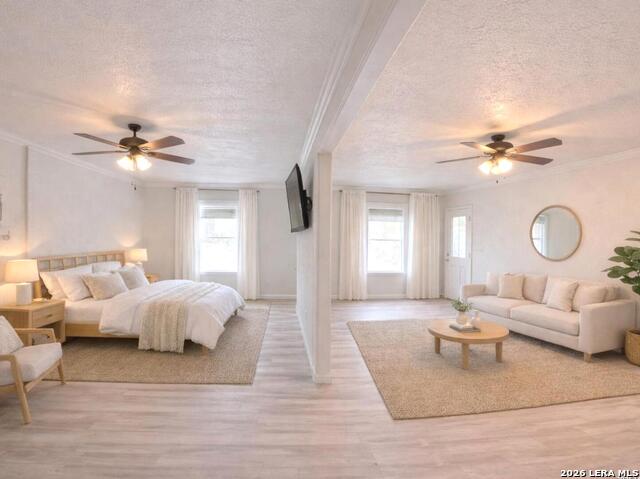 Image 55 of 66 For 31567 Panther