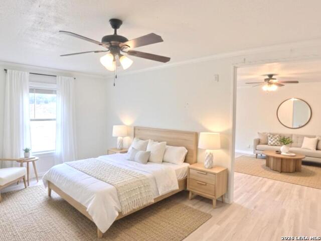 Image 57 of 66 For 31567 Panther