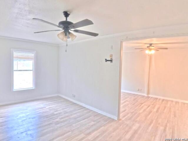 Image 58 of 66 For 31567 Panther