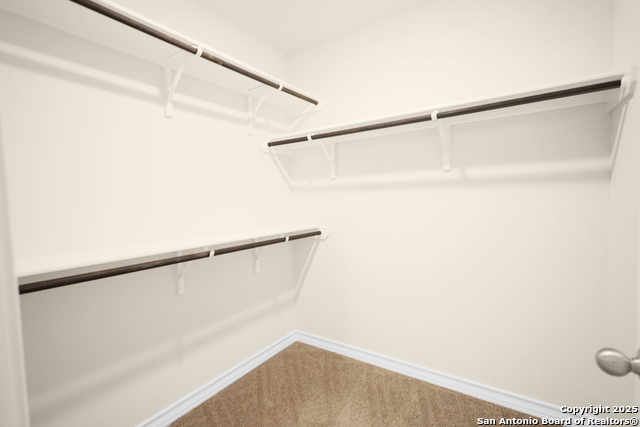 Image 30 of 34 For 22110 Backspin