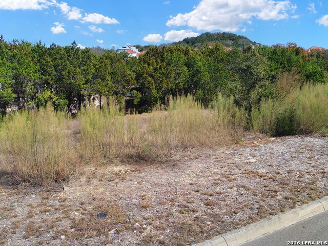 Image 10 of 16 For Lot 46 Dominion Meadows