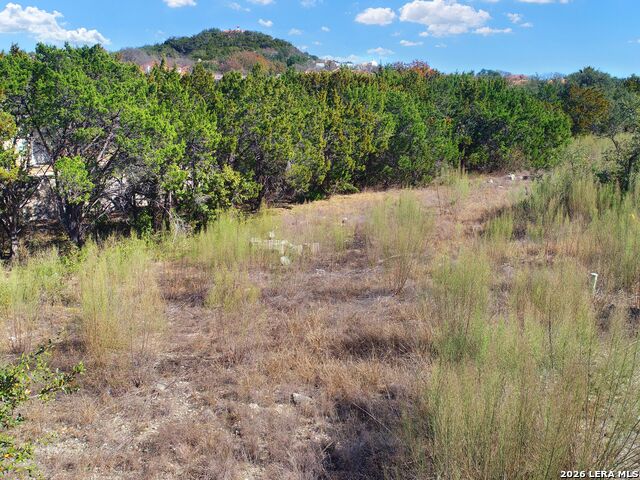 Image 11 of 16 For Lot 46 Dominion Meadows