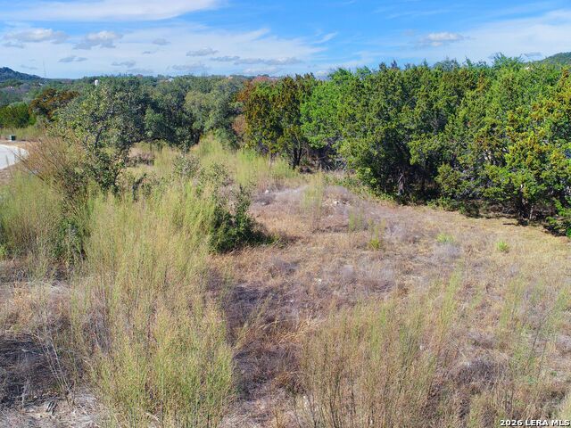 Image 7 of 16 For Lot 46 Dominion Meadows