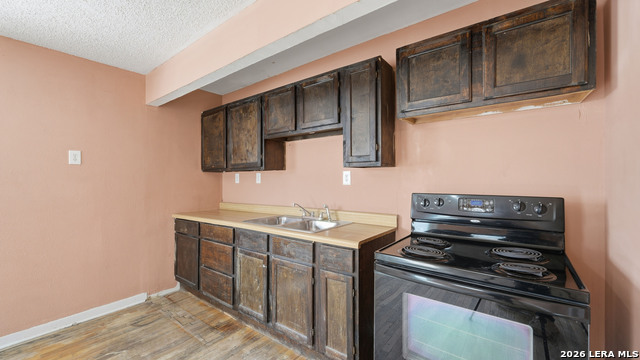 Image 3 of 27 For 1321 Quail  